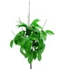 Dirbtinis pinavijos kotas, 54 cm