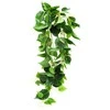 Dirbtinis vijoklis Skindapas, 100 cm
