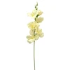 Gelsvas dirbtinis kardelis ant koto, 57 cm