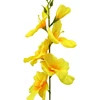 Geltonas dirbtinis kardelis ant koto, 57 cm