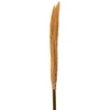 Raganos šluota, 97 cm - Auksinė