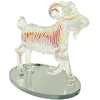 Stiklinė skulptūrėlė Ožys, 15 cm