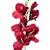 Tamsiai raudona dirbtinė gėlė kardelis, 50 cm