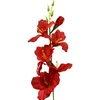 Tamsiai raudonas dirbtinis kardelis ant koto, 57 cm