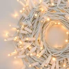 Lauko ir vidaus girlianda (LED lemputės) 10 m PROLED balta