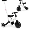 Daugiafunkcinis balansinis triratukas Ecotoys 2in1, baltas/juodas