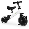 Daugiafunkcinis balansinis triratukas Ecotoys 2in1, baltas/juodas