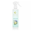 Blue Automobilio ir namų kvepalai Nr148 - Mėlynas CLOUD 150 ML