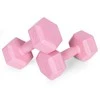 Šešiakampiai hantelia 2x2 kg ModernHome