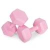 Šešiakampiai hantelia 2x3 kg ModernHome