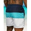 Maudymosi šortai tamsiai mėlyni/balti Revel