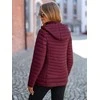 Moteriška bordo spalvos striukė Marsi