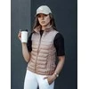 Moteriška rožinė liemenė Stylish