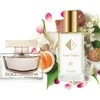 Nr. 81 kvepalai įkvėpti Dolce&amp;Gabbana – Rose the One 33 ml