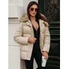 Rusva žieminė moteriška striukė Star