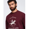 Vyriškas bordo spalvos džemperis Carte