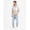 Vyriškas rusvos spalvos džemperis Edman