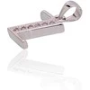 Sidabrinis Pakabukas - Vardo Raidė. Metalas: Sidabras. Praba: 925°. Akmuo: Cirkonai - 1.2 g. - 19 mm.