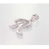 Sidabrinis Pakabukas - Vardo Raidė. . Praba: 925°. Akmuo: Cirkonai - 1.7 g. - 22 mm.