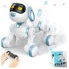 Cooler Stuff Interaktyvus robotas šuniukas su valdymo pultu