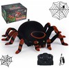 Cooler Stuff Spider voras su valdymo pultu, ropojantis per sieną