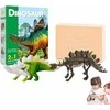 Magy Archeologijos kasinėjimo rinkinys dinozauras stegosauras su akvarele