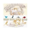 Magy Archeologijos kasinėjimo rinkinys dinozauras