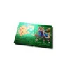 Magy Pokemon kortos 55 vnt. spalvota kolekcija