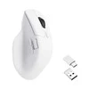 Keychron M6 Wireless (1000Hz) Baltas Belaidė Pelė baltos spalvos