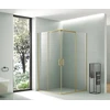Dušo kabina AW1142 100x100 GOLD skaidri be pado