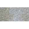 Granito plytelės G664