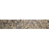 Plytelių apvadai TIGER SKIN Geltonas 600x100x10