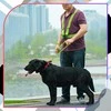 Atšvaitinė liemenė bėgimui ir dviračiui