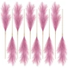 Dirbtinė rožinė pampų žolė PVC, 10 vnt. N81