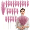 Dirbtinė rožinė pampų žolė PVC 56,5 cm (20 vnt.) N82