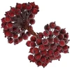 Dirbtinės bordo šermukšnio šakelės 15 cm, 100 vnt. N66
