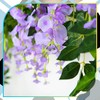 Dirbtiniai vijokliniai žiedai, violetiniai, 1 vnt.