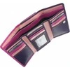 Moteriška odinė piniginė Visconti RB43