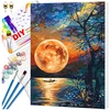 Tapyba pagal numerius su rėmu 40 x 50 cm TP5