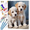 Tapyba pagal numerius su rėmu 40 x 50 cm „Šuniukai“ TP44