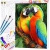 Tapyba pagal numerius su rėmu 40x50 cm „Papūgos“ TP28