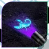 Bez Marki UV LED žibintuvėlis juodas aliuminis 395 nm Z9