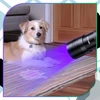 Bez Marki UV LED žibintuvėlis juodas aliuminis 395 nm Z9