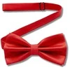Vyriška peteliškė, raudona, elegantiška