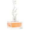Aurora Scents Deciduous Spring - EDP 100 ml + EDP 9 ml