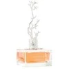 Aurora Scents Deciduous Spring - EDP 100 ml + EDP 9 ml