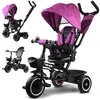 Triratis dviratukas Tiny Bike 3W1 Z Daszkiem