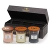WoodWick Aromatinių žvakių rinkinys (Evening Onyx, Solar Ylang, Coastal Sunset), 3 x 85 g