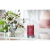 Yankee Candle Aromatinė žvakė Signature tumbler large Juodas Cherry 567 g