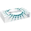 Veido servetėlės PAPERNET FACIAL TISSUE, 40dėžučių